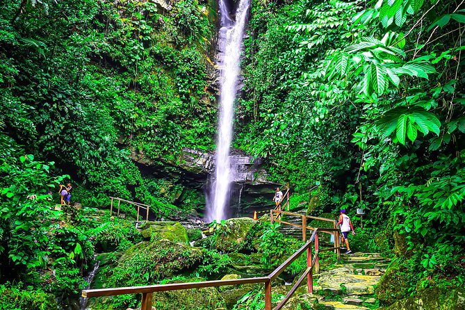 TARAPOTO AL MAXIMO