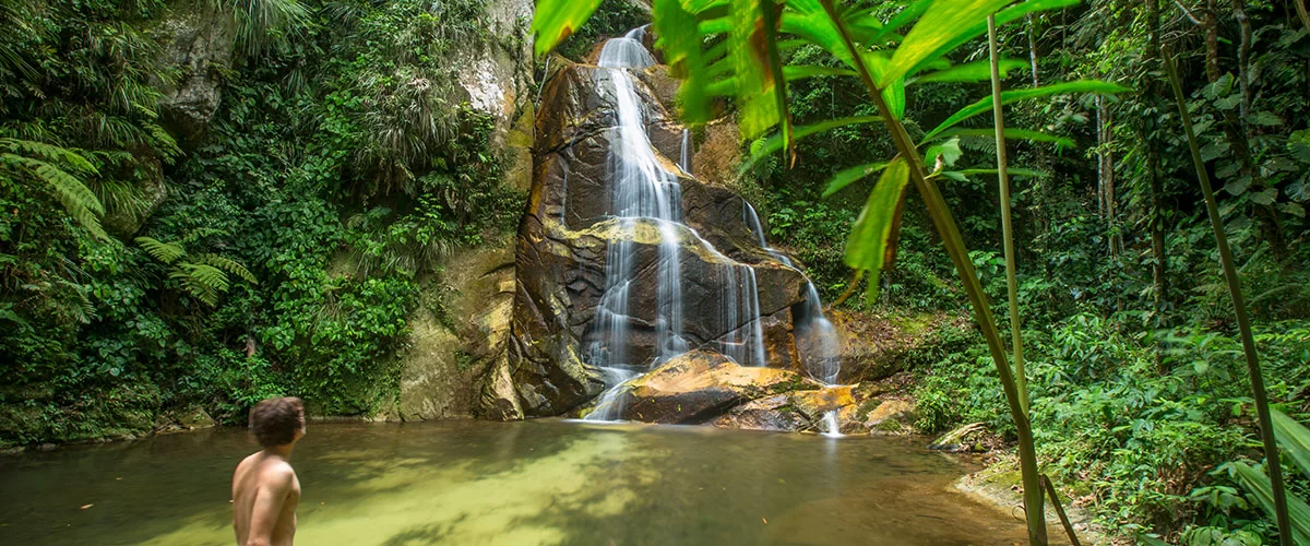 TARAPORO AMAZONIA CON PUMARINI