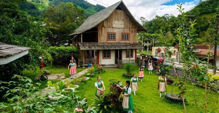 SELVA CENTRAL Y SUS AROMAS