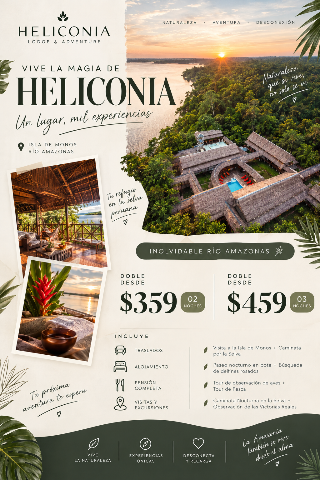 HELICONIA
